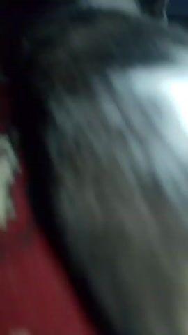 A blurry close-up video shows a cat with a red collar lying on a red patterned rug. The cat has white fur on its chest and gray and white fur on its back. The cat's eye is visible.