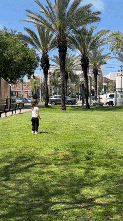 Girl plays, parakeets forage in Kiryat Bialik park