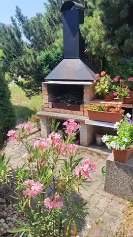 This is a video taken in a backyard setting. In the foreground, there are pink oleander flowers and a paved walkway. To the right, there is a concrete ledge with a planter box filled with white and purple petunias. Behind the ledge, a large brick barbecue grill with a black metal hood and chimney is visible. The grill is filled with dry branches. There are several potted plants with pink and orange flowers on shelves built into the side of the barbecue. Green pine trees and other foliage are in the background. The lighting indicates it is daytime.