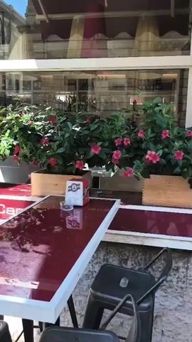 The video shows a close-up of an outdoor cafe table with a red, reflective surface. On the table is an ashtray and a red and white box of matches. Behind the table, in a window box, are several potted plants with vibrant pink flowers and green leaves. The cafe window reflects the exterior scene. The video pans slightly to the right, revealing more of the cafe's exterior, including a stone wall and another table with black stools. The cafe's name, "Carolina Cafe," is visible in red lettering on the table's surface and on a red strip below the window. The scene is brightly lit by sunlight, casting shadows on the ground.