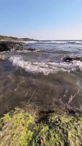 The video shows a view of the ocean from a rocky shore. The water is choppy and appears murky. Waves are breaking on the rocks in the foreground and in the distance. The sky is clear and blue. There is a line of vegetation on the distant shore.