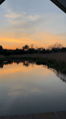 Families enjoy sunset riverside recreation in Klin, Russia