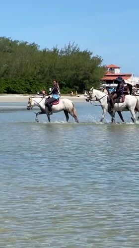 Horseback riders splash through clear waters in Cabo Frio