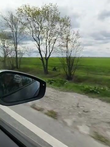 The video shows a car driving on a gray dirt road along a green field. The sky is cloudy. The view from the car's side mirror shows glimpses of the passing landscape, including trees and grass. The car is moving forward. The video seems to be taken from inside the car, looking out through the side window.