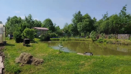 Witness captures pond and surrounding nature on sunny day