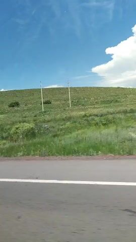 This is a horizontal, first-person perspective video taken from a vehicle moving alongside a grassy hillside. The sky is blue with scattered white clouds. A paved road with a white line is visible in the foreground. Telephone poles are scattered along the hillside, and in one shot, a triangular road sign with a black symbol indicating a fork in the road is visible. The hillside is covered in green grass and scattered bushes and wildflowers.
