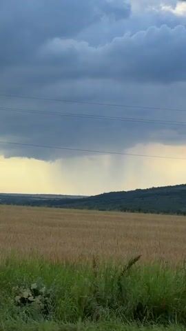 The video shows a wide shot of a rural landscape under a cloudy sky. In the foreground, there is a field of tall, golden grass or wheat, with some green grass and plants in the very bottom of the frame. In the middle ground, there is a rolling hill covered in dark green trees. In the distance, shafts of rain are visible falling from dark, heavy clouds, creating a streaky effect against a lighter sky. Power lines are visible stretching horizontally across the upper portion of the frame. To the right, a utility pole appears briefly at the bottom of the frame. The overall mood is one of impending or ongoing rain in a natural setting.