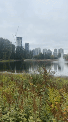 Coquitlam lake fountain, ducks, and mosaic waterfront path