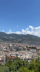 Morning scenes captured across Alanya: flowers, parrot, cityscape