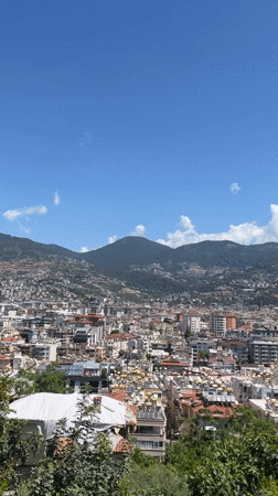 Morning scenes captured across Alanya: flowers, parrot, cityscape