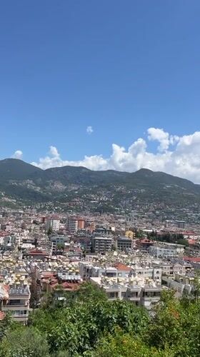 Morning scenes captured across Alanya: flowers, parrot, cityscape