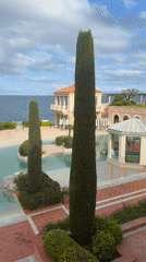Tourist captures Monaco scenes including casino and luxury buildings
