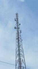 Cell tower stands over green rice paddies in rural Lhokseumawe