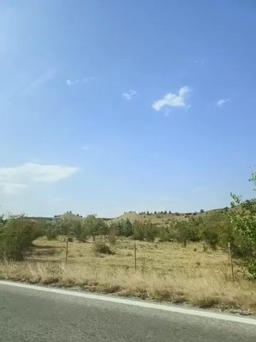 A car-mounted camera shows a roadside view. The camera pans right across dry, grassy terrain dotted with trees and bushes, with a bright blue sky overhead. A guardrail runs along the side of the road, and the asphalt road surface is visible in the foreground. In the distance, there are rolling hills. The lighting suggests it is daytime.