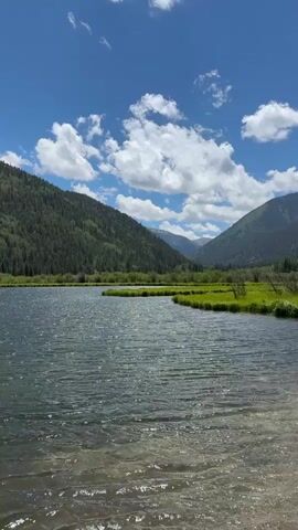 This is a vertical video of a serene mountain lake scene. The foreground is dominated by the shimmering surface of the lake, with sunlight glinting off the gentle ripples. The water is clear and shallow near the edge, revealing the sandy bottom. Beyond the lake, a lush green meadow stretches out, dotted with sparse trees. Further in the distance, the meadow gives way to a dense, dark green forest that blankets the steep slopes of rolling mountains. The mountains recede into the background, forming a picturesque valley. The sky above is a vibrant blue, punctuated by fluffy white cumulus clouds.

The scene depicts a tranquil, natural setting, likely in the late morning or early afternoon, given the bright sunlight and clear sky. The weather appears to be pleasant and sunny, ideal for outdoor enjoyment. The location appears to be a mountainous region, possibly in or near Nathrop, United States, given the context. There are no people or specific objects visible, focusing entirely on the natural landscape. The overall mood conveyed is one of peace, natural beauty, and tranquility. There is no visible text in the media file.
