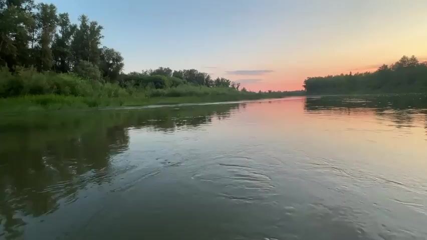 This media file captures a serene natural scene at a river during sunset. The primary subject is the river itself, with its calm, reflective surface mirroring the soft colors of the sky. Dense green vegetation, including trees and tall grass, lines both banks of the river, creating a lush, natural backdrop. The sky transitions from a clear pale blue at the zenith to warm hues of pink and orange near the horizon, indicating it is either sunrise or sunset. A few wispy clouds are visible, catching the last rays of the sun. The water shows gentle ripples, suggesting a slight current or perhaps the disturbance caused by a fish jumping, as indicated by a subtle swirl in the water.

The overall atmosphere is peaceful and tranquil, evoking a sense of quiet solitude and the beauty of nature. The time of day is clearly sunset, with the soft lighting and warm colors. No people or man-made objects are visible, emphasizing the untouched, wild aspect of the location. The environment suggests a rural or undeveloped area, consistent with the provided location context of Ivanovka, Russia, which is known for its natural landscapes. The emotion conveyed is one of peace, calm, and appreciation for the natural world. There is no visible text in the media file.