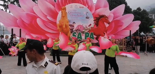 Cultural festival with traditional performances draws crowds in Sa Pa