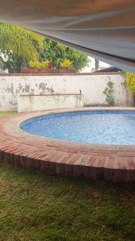 The video shows a blue, circular swimming pool with a red brick border, surrounded by green grass. A white wall with potted plants sits behind the pool. The scene is partially shaded by a white canopy. In the background, lush green trees and plants can be seen.