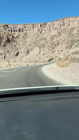 A first-person perspective video shows a car driving on a paved road that curves to the right, winding through a barren, mountainous landscape under a clear blue sky. The road has a yellow center line and a white shoulder line. Rocky cliffs with erosion formations rise on the left side of the road, sparsely dotted with vegetation, including cacti. The right side of the road is a gravel shoulder with dry brush. The interior of the car, including the dashboard, is visible in the foreground. The video lasts for four seconds.