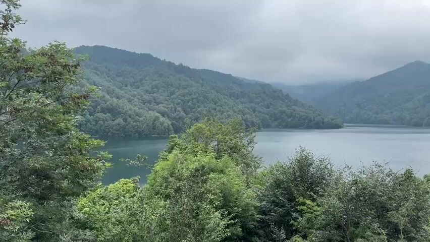 The video shows a wide shot of a serene lake surrounded by lush green, tree-covered mountains. The sky is overcast with clouds, casting a soft, diffused light over the landscape. The trees in the foreground are vibrant green, with some branches extending into the frame. The water of the lake is calm, reflecting the muted colors of the sky and mountains. The overall atmosphere is peaceful and natural.