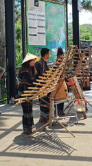 Traditional bamboo music performance outdoors in Da Lat