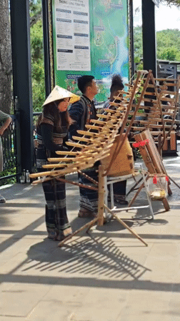 Traditional bamboo music performance outdoors in Da Lat