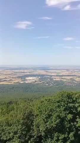A panoramic video captures a sweeping landscape from a high vantage point. The foreground is dominated by lush green trees, with a large tree on the left framing the view. Below, a vast expanse unfolds, showing rolling hills covered in dense forest, transitioning to patchwork fields and a small town in the middle distance. The horizon is a hazy line of flat land under a bright blue sky dotted with scattered white clouds. A small, rustic wooden cabin with a dark, sloped roof is visible amidst the trees on the right side of the frame, with a clear path leading up to it and some people can be seen sitting on the grass near the cabin. The camera slowly pans to the right, revealing more of the distant landscape and a slight shift in the position of the trees.