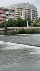 Morning walk documents blooming palms and river scenes in Sochi