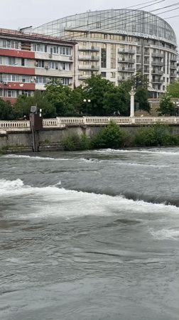 Morning walk documents blooming palms and river scenes in Sochi