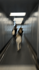 Airport transit scenes captured in Khimki, Russia