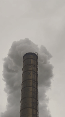 Industrial smokestacks billowing smoke at a Polish chemical plant