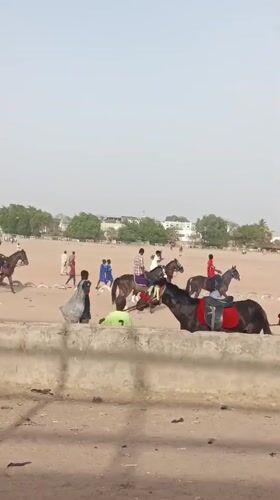 Horse riders train in sandy area in Giginyu, Nigeria