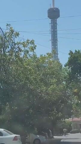 A tall, slender tower with a large, circular structure near its top is visible against a clear blue sky. The tower appears to be a television or communication tower, with numerous antennas and equipment attached to its lattice structure. In the foreground, lush green foliage from trees partially obstructs the view of the tower, creating a layered effect. The lighting suggests it is daytime, with bright sunlight casting shadows and illuminating the scene. The camera angle is from a low perspective, looking up at the tower. No people are clearly visible in the frame. The overall impression is an urban or suburban landscape with a prominent piece of infrastructure.