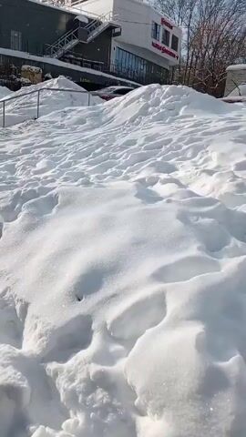 The video shows a snowy landscape. The ground is covered in thick snow with numerous footprints. There are some trees and buildings in the background. At one point, several parked cars become visible. The sky is partially sunny, creating a stark contrast with the snow. The camera pans slightly, providing a broader view of the snowy scene and the surrounding urban environment.
