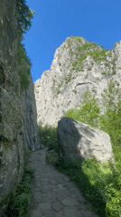 Morning walk documented along Vratsa mountain paths with dogs