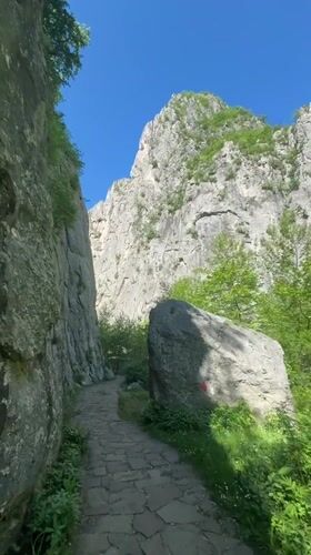 Morning walk documented along Vratsa mountain paths with dogs
