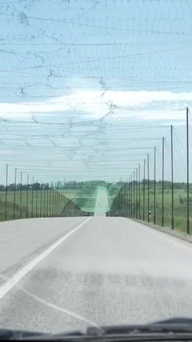 Car travels under green netting structure on Kharkiv highway