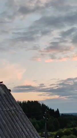 The video shows a wide shot of a rural landscape at dusk. The sky is filled with clouds tinged with pink and orange from the setting sun, which is visible in the far right of the frame. A dark, tree-covered hill stretches across the middle ground, with a few structures and power lines visible among the trees. In the foreground, the corrugated roof of a building is visible in the lower right corner. The overall impression is one of peaceful, natural beauty as day transitions into night.