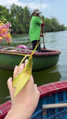 The video shows a person holding a woven palm frond creation on their finger. The woven palm frond design has a segmented body and long, thin pieces coming off like antennae. A second person is shown in the background, paddling a round boat along a river. The sky is overcast and the background is of a lush green forest. The boats have a pink rim and are painted in bright colors. The person holding the palm frond is wearing pink nail polish.
