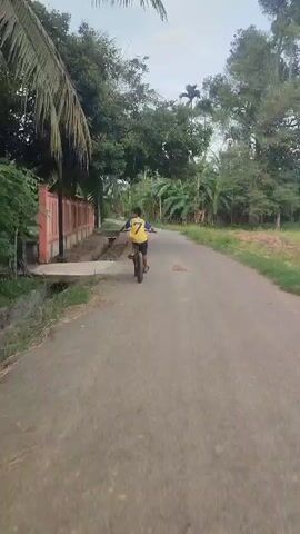 A boy wearing a yellow jersey with the number 7 and the name "SHOLL" on the back rides a bicycle away from the camera on a narrow paved road. To the left is a pink and brown concrete fence with trees overhead and on the right is a grassy area with banana trees and other greenery. The sky is overcast.