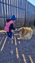 Child plays with dog, uses playground in Russian villages