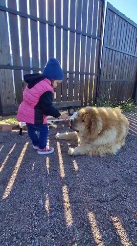 Child plays with dog, uses playground in Russian villages