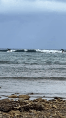 Night surfing session documented at Santa Monica Philippines beach
