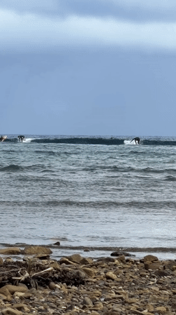 Night surfing session documented at Santa Monica Philippines beach