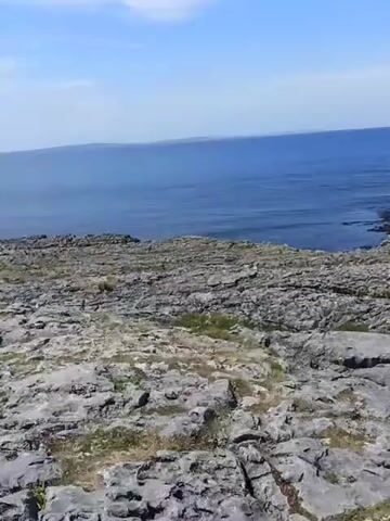 This is a static, eye-level video with a slightly elevated perspective. The foreground is dominated by a rough, gray, rocky terrain with scattered patches of green grass and small white wildflowers. The rocks are large and irregular, with some appearing to be cracked or weathered. In the mid-ground, the terrain transitions to a rocky coastline that meets a vast expanse of deep blue ocean. The ocean surface is calm with gentle ripples and reflects the bright blue sky. A faint white contrail is visible in the upper portion of the sky. The horizon line is clear and distinct, separating the ocean from the sky. The overall environment appears to be a natural, coastal landscape on a clear, sunny day. There are no people or animals visible in the frame. The camera is stationary throughout the recording.