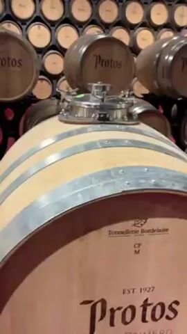 The video shows a room full of wine barrels. The barrels are stacked on multiple levels. Each barrel is labeled "Protos". The barrels are made of light-colored wood and have metal bands around them. The video pans across the barrels, showing their details. The top of the barrels have metal fixtures. There is a gray concrete pillar with red buttons on it. The barrels are closely packed together in the room. The room appears to be a cellar or storage area for wine. A voice is heard in the background, speaking Spanish.