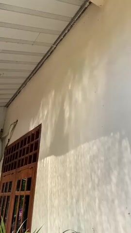 A video shows a close-up of a white exterior wall of a building. The wall has a shadow pattern on it, likely from trees. A brown wooden window with a grid design is visible on the left side of the wall. Above the window, a white electrical conduit runs along the wall. The ceiling of an overhang is visible at the top of the frame. In the foreground, some green plants are growing. The camera appears to be stationary.