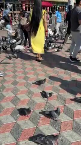 The video shows a busy outdoor scene with many pigeons on a patterned red and grey brick floor. A woman in a bright yellow dress is the initial focus, surrounded by the birds. The camera then pans upwards to reveal a temple complex built into the side of a cliff, with a large golden statue of a deity standing prominently beside a long staircase. The steps are brightly colored and lead into the temple. People are walking around, taking photos, and interacting with the environment. The scene is well-lit, indicating it is daytime. The location appears to be a popular tourist destination or a place of religious significance.