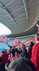 Canadian soccer fans rally with flags at Vienna stadium