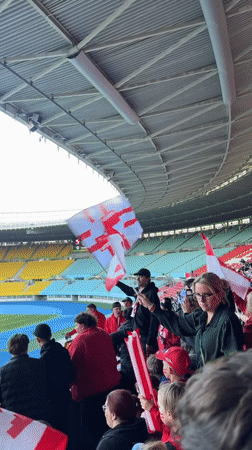 Canadian soccer fans rally with flags at Vienna stadium